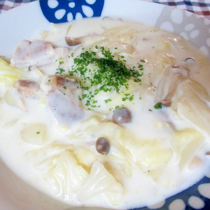 豚肉とキャベツのホワイトシチュー レシピ 作り方 By Mococo05 楽天レシピ 豚肉とキャベツのホワイトシチュー レシピ 作り方 By Mococo05 楽天レシピ